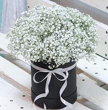 Цветочная композиция из Гипсофила в шляпной коробке #REPLACE_PRED# Подгорном