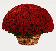 Премиум букет из: Розы в Подгорном